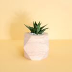 10 Things I’ve Learnt at  Money Freelancer