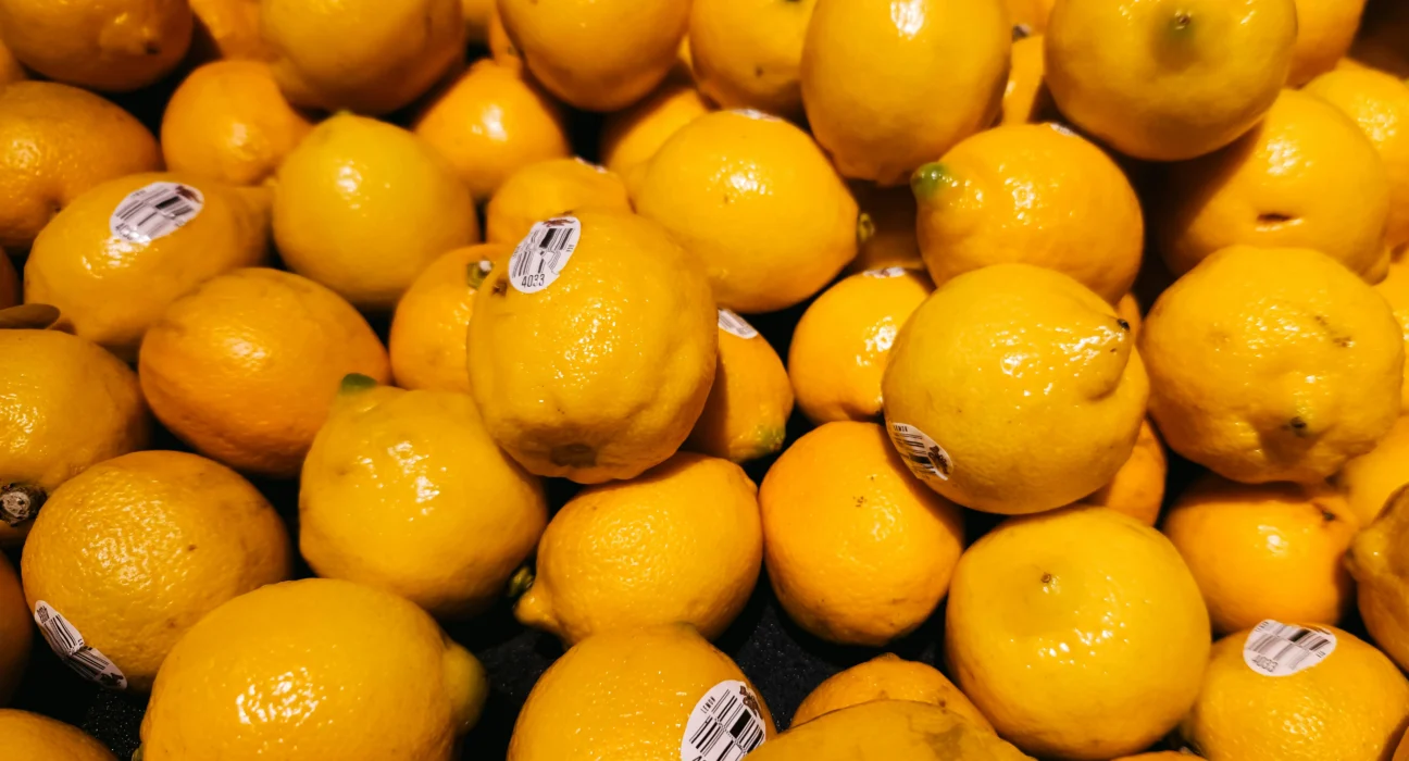 citrus export image