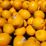 UBF Stall Visited COO UCTC