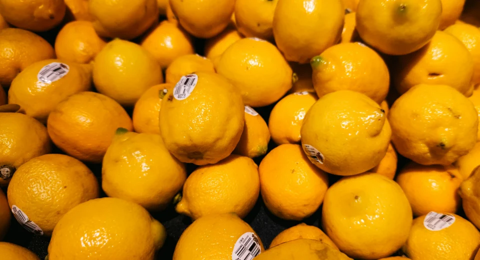 citrus export image