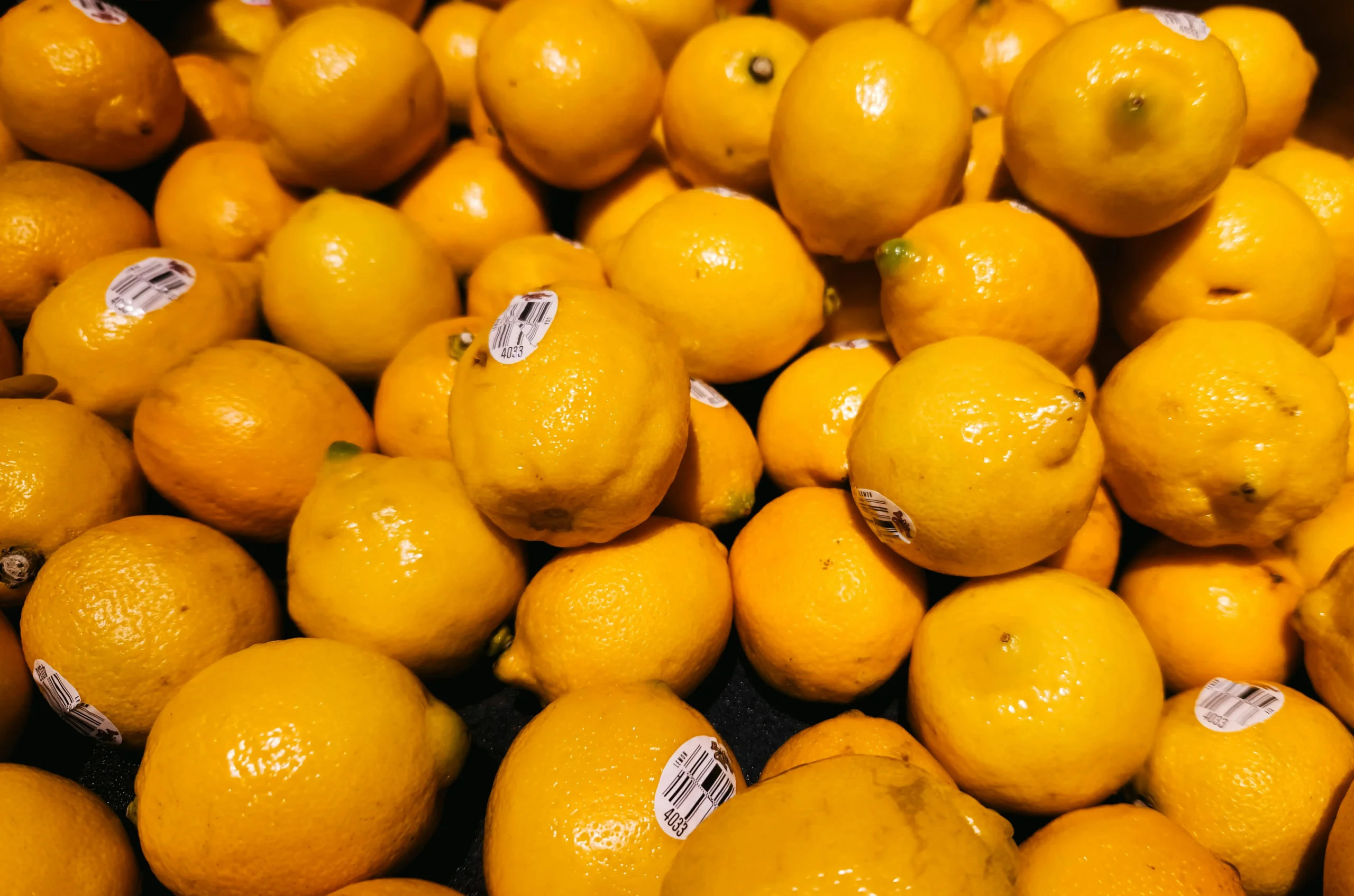citrus export image